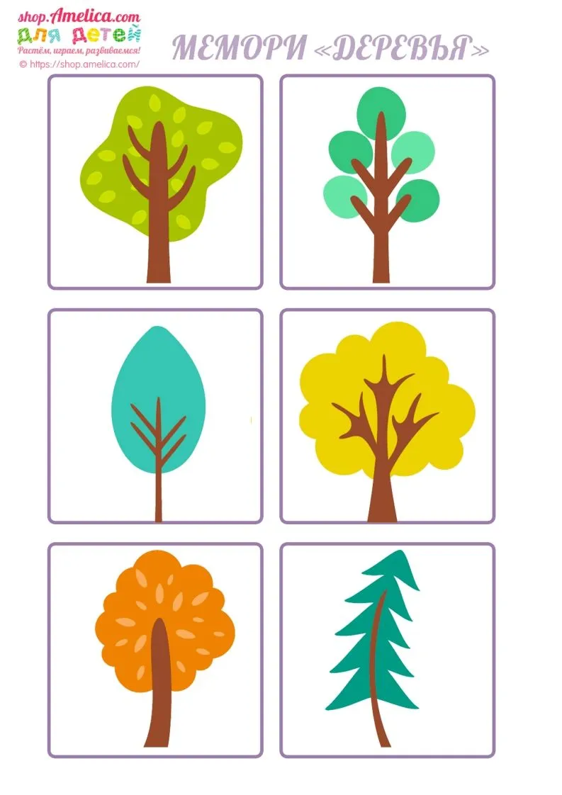 记忆卡片14-学海库