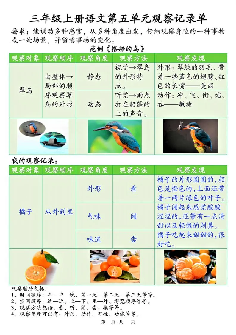 三上语文第五单元观察记录单（空白+答案14页）