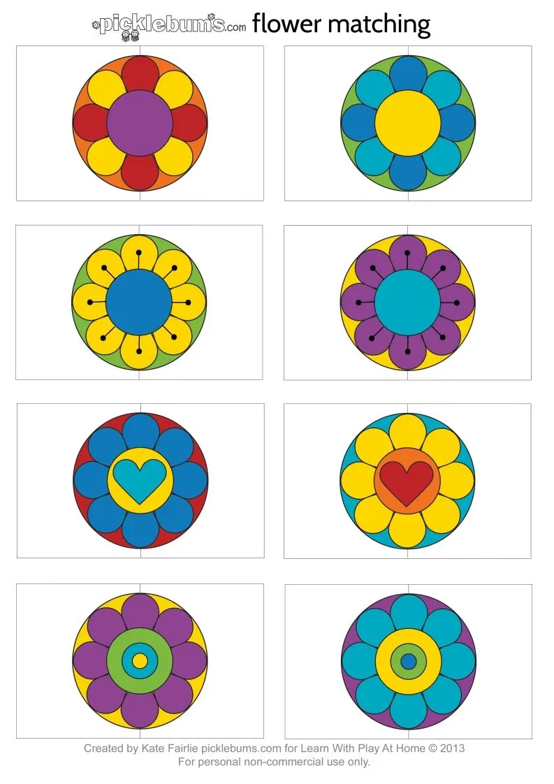 记忆卡片12-学海库