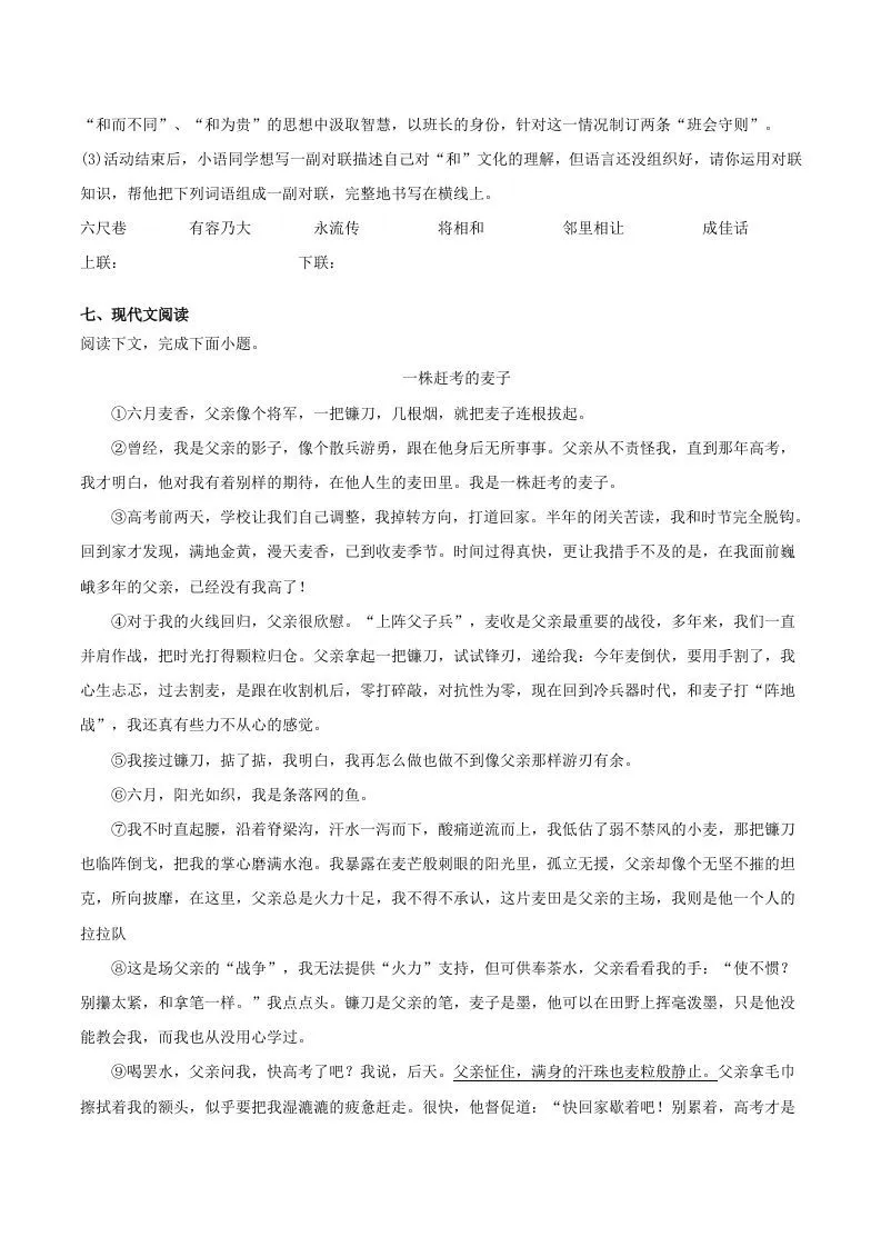 2022-2023学年河南省洛阳市嵩县八年级下学期期末语文试题及答案(Word版)-学海库