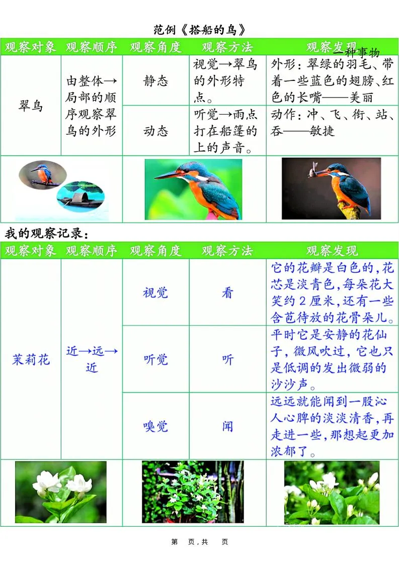 三上语文第五单元观察记录单（空白+答案14页）-学海库