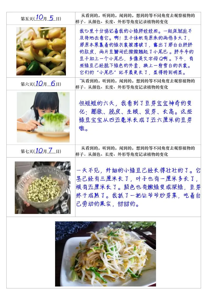 四上语文习作三：培育绿豆芽观察日记2《写观察日记》4页-学海库